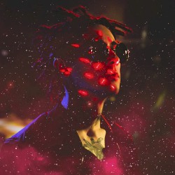 BeezyNOVA: Main Effect