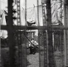 Chaos and Creation in the Backyard