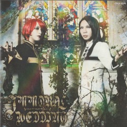 IMMORAL WEDDING / Silent Carnival