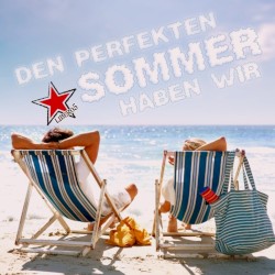 Den perfekten Sommer haben wir