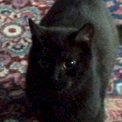 Instant Noodles Museum in Yokohama