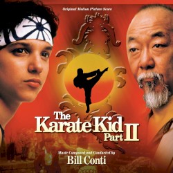 The Karate Kid 2