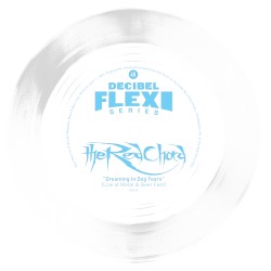 Dreaming in Dog Years (live at Metal & Beer Fest)