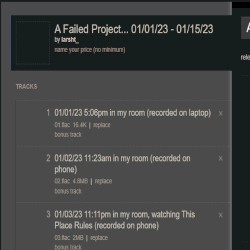 A Failed Project… 01/01/23 – 01/15/23