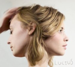 Songs From the Bromley House