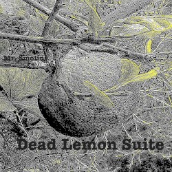 Dead Lemon Suite