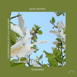 Slow Motion (Boston Bun & Punctual remixes)