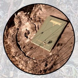 Moonlit Missive #113: 'A Farewell'