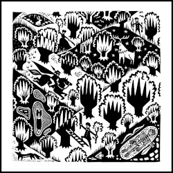 Echoes: Unearthing Stories of the Forest