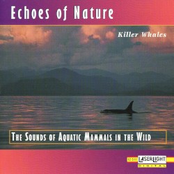 Echoes of Nature: Killer Whales