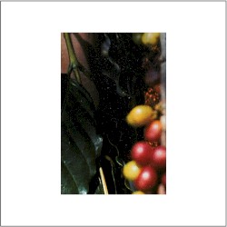 7 Songs for the City Apocalypse