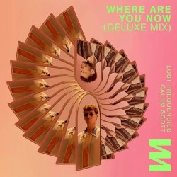 Where Are You Now (Deluxe extended remix)