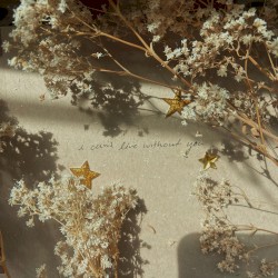 I Can’t Live Without You