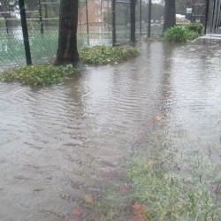Morning Storm Hydrophone