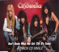 Don't Know What You Got (Till It's Gone)