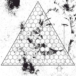 Betrayed in the Octagon