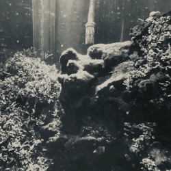 Gone