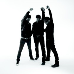 Don't Believe a Word