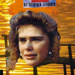 Schafott zum Fahrstuhl