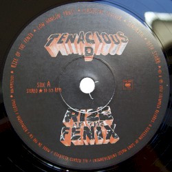 Rize of the Fenix
