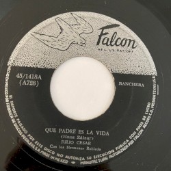 Que padre es la vida / Mi linda hortensia