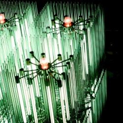 Cat of Shell, Vol. 2