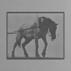 Hansel Hauling a Heavy Weight