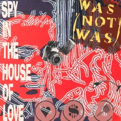 Spy in the House of Love