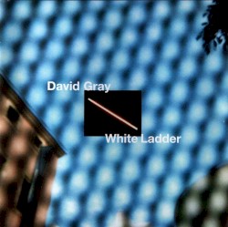 White Ladder