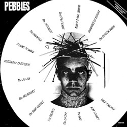 Pebbles, Volume 1: Original Artyfacts From the First Punk Era