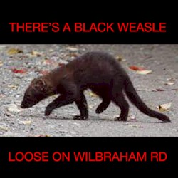THERE'S A BLACK WEASLE LOOSE ON WILBRAHAM ROAD