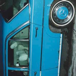 My First Time Volume 3