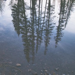 This Must Be the Place (Naive Melody)