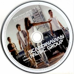 Minne katosi päivät