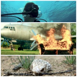 Verbrenn meine Couch