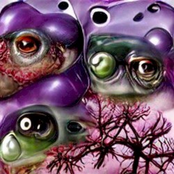 In the Depths of Hibernation