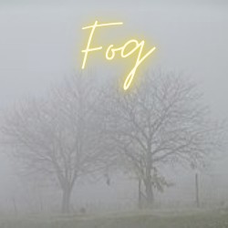 Fog