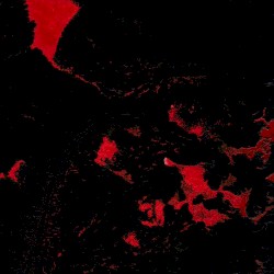 Exit Rumination Remixes