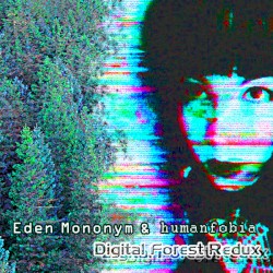 Digital Forest Redux