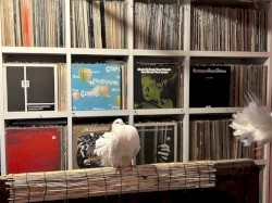 2025-11-13: NTS Radio