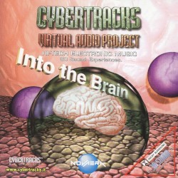 Into the Brain