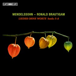 Lieder ohne Worte, Vol.2