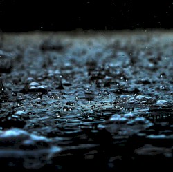 Heavy Rain