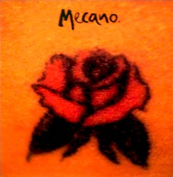 Una rosa es una rosa