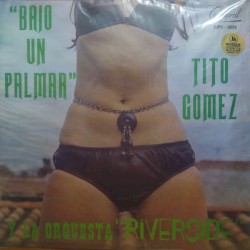 Bajo un palmar