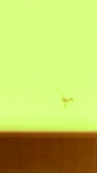M.Blur.02