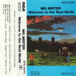 Welcome to the Real World