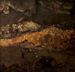 Poemas instantáneos