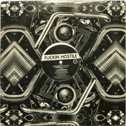 Fuckin Hostile