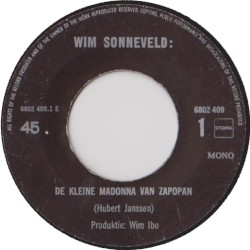 De kleine Madonna van Zapopan